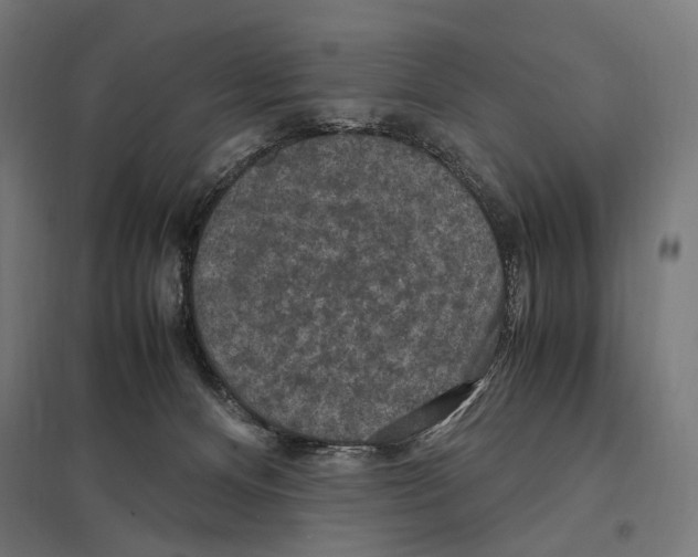 X0000097600128200803281000