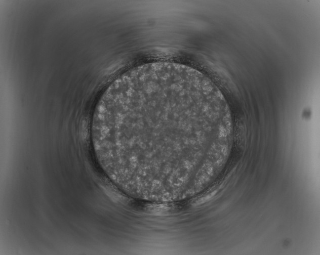 X0000097600131200803281000