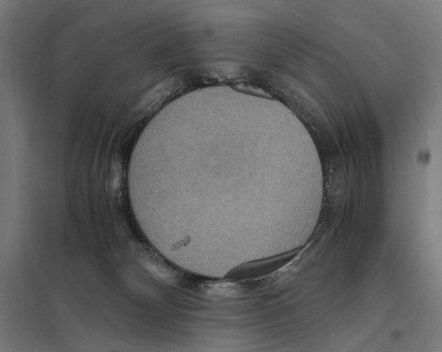 X0000097600132200803281000