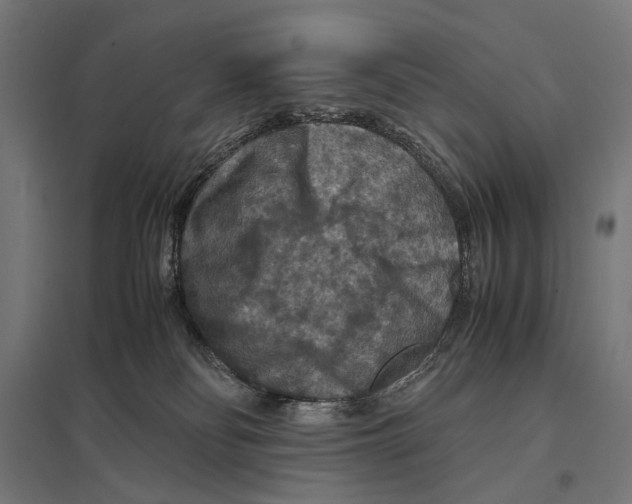 X0000097600134200803281000