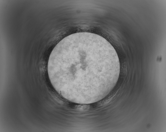 X0000097600135200803281000