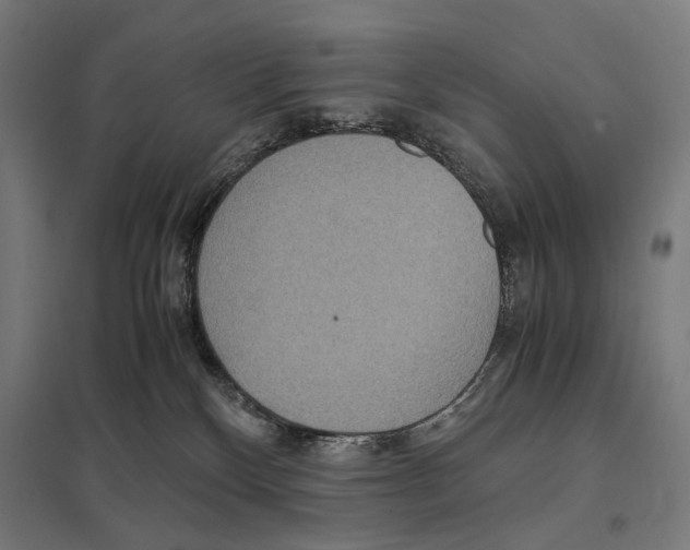 X0000097600136200803281000