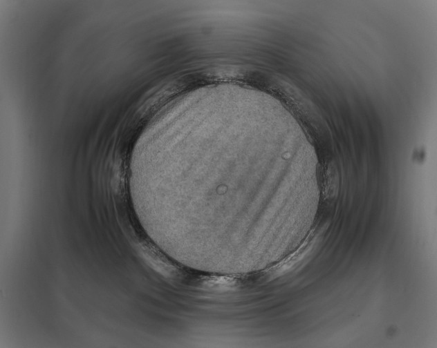 X0000097600140200803281000