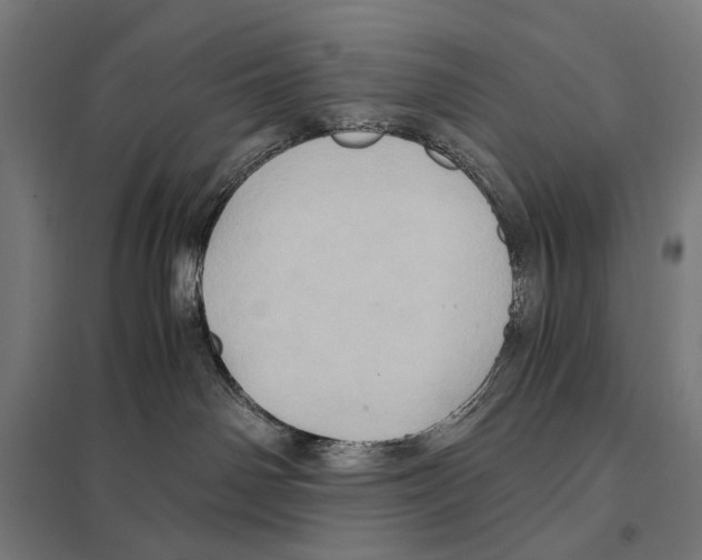 X0000097600142200803281000