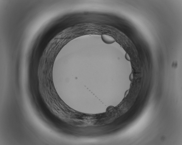 X0000097600143200803281000