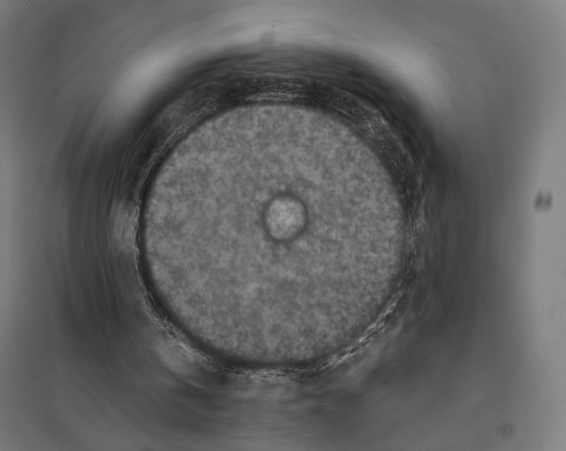 X0000097600146200803280959