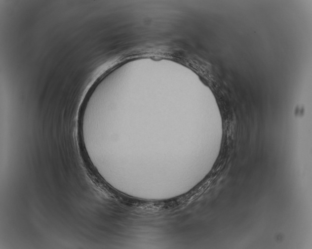 X0000097600148200803280959