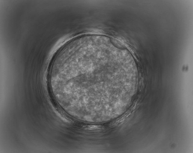 X0000097600151200803280959