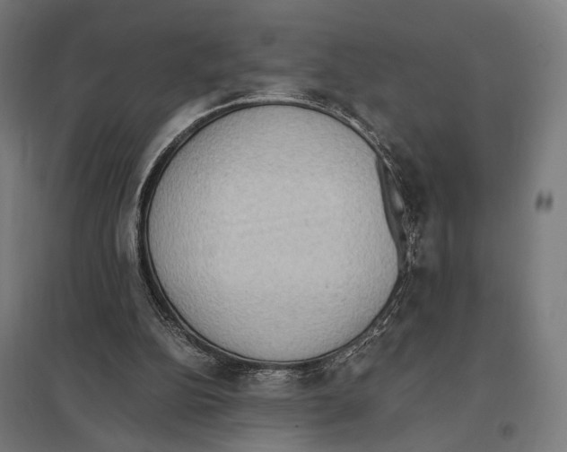 X0000097600152200803280959