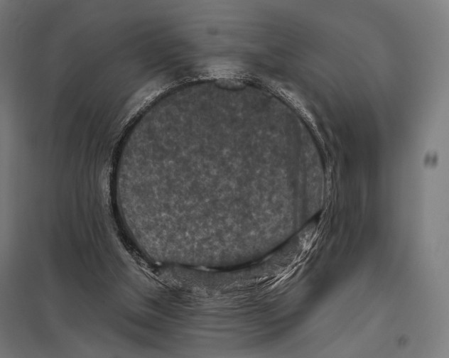 X0000097600154200803280959