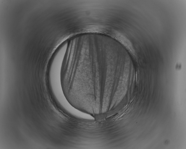 X0000097600156200803280959