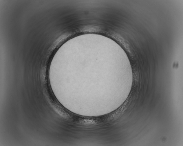 X0000097600159200803280959