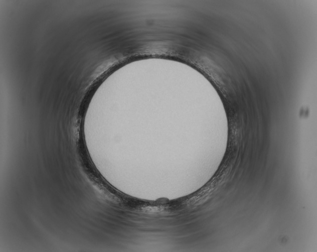 X0000097600160200803280959