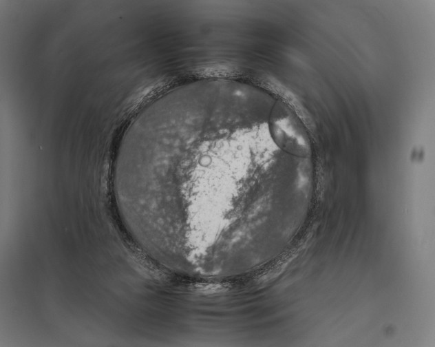 X0000097600161200803280959