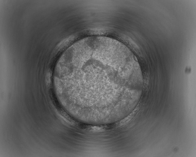 X0000097600166200803280959