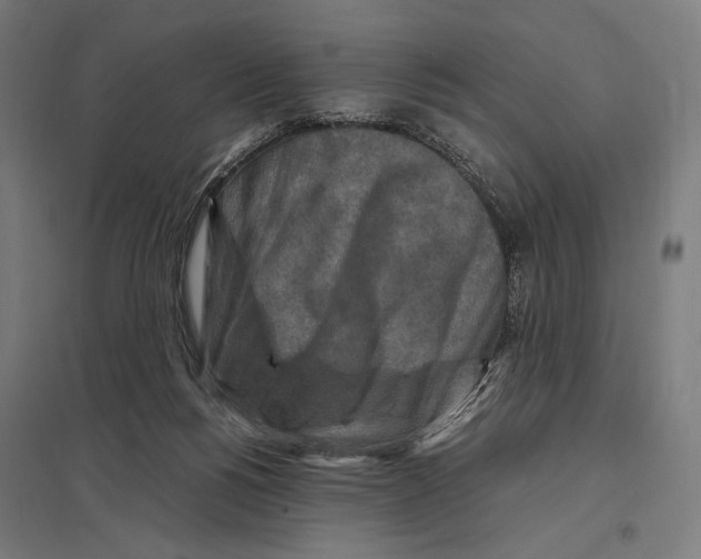 X0000097600168200803280959