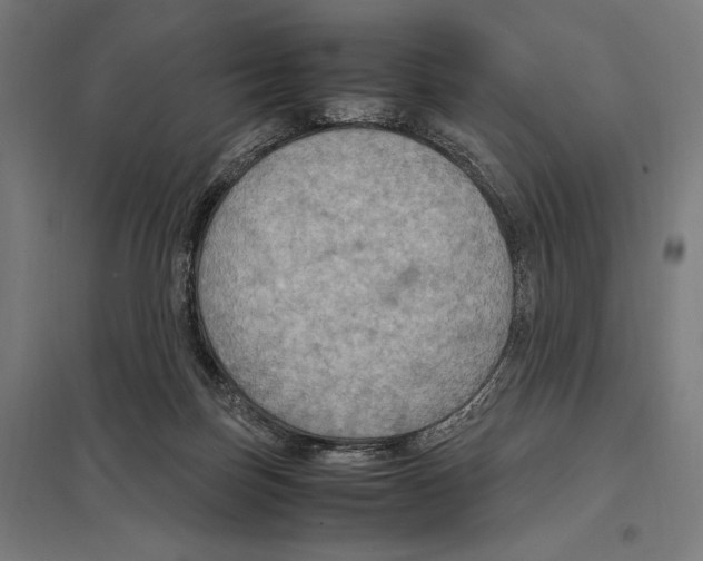 X0000097600171200803280959