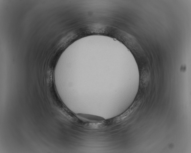 X0000097600172200803280959