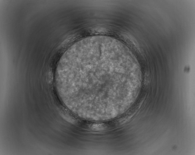 X0000097600173200803280959