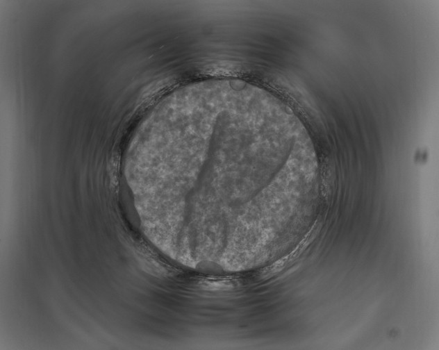 X0000097600175200803280959