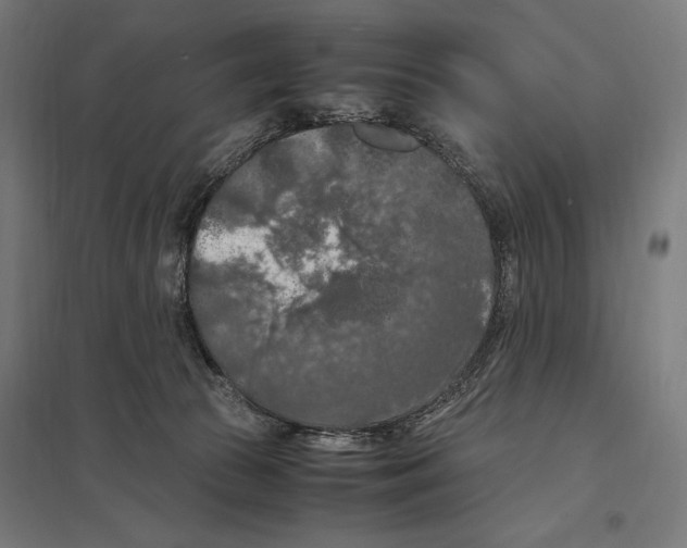 X0000097600177200803280959