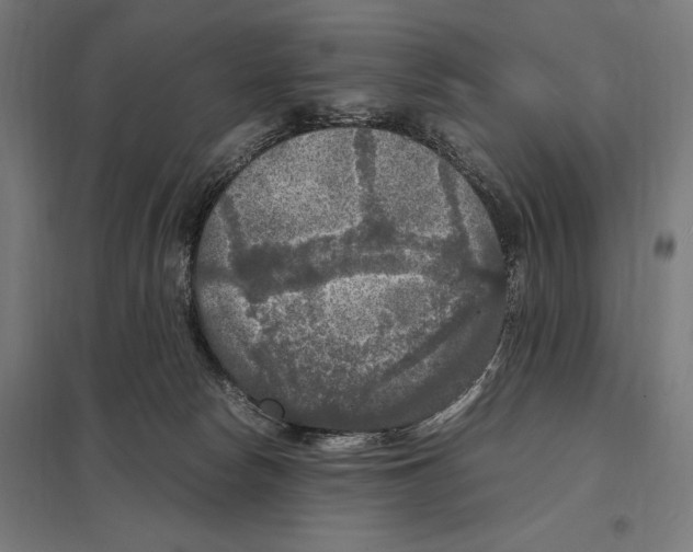 X0000097600178200803280959