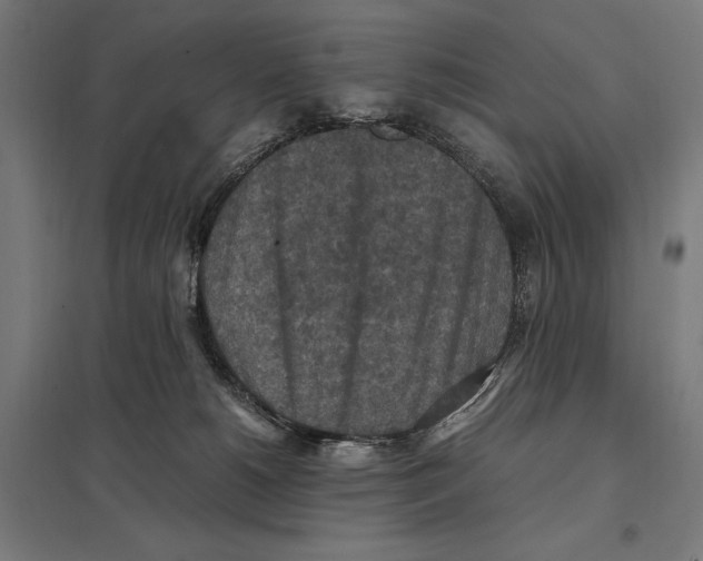 X0000097600180200803281000