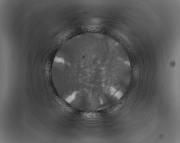 X0000097600181200803281000