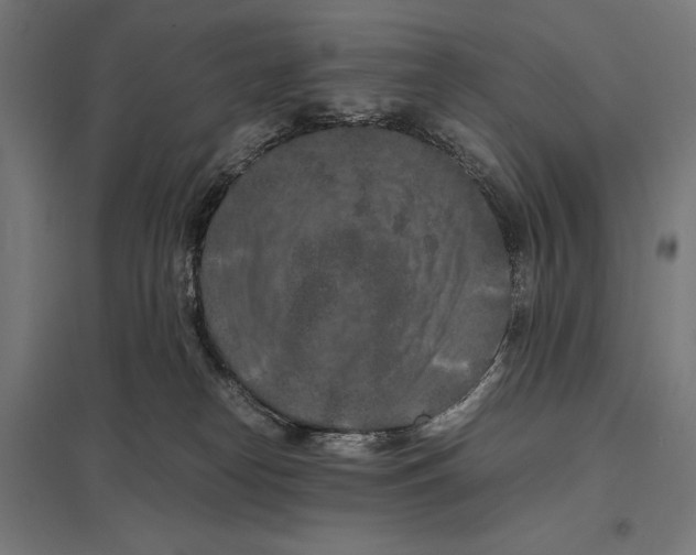 X0000097600182200803281000