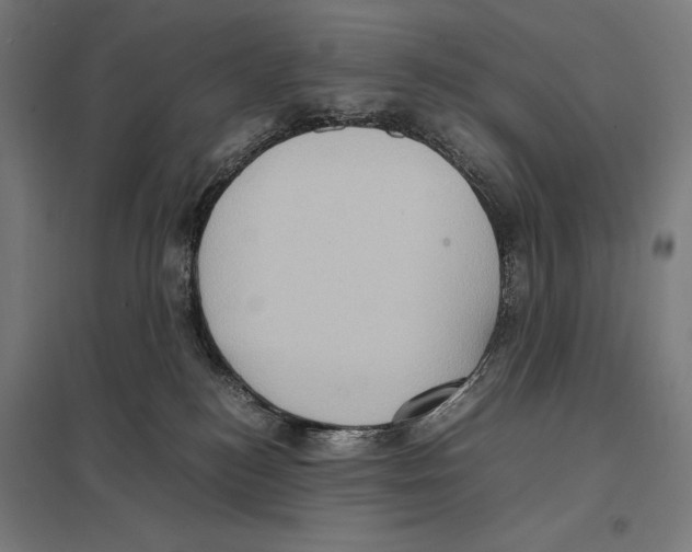 X0000097600184200803281000