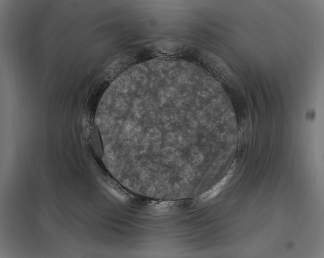 X0000097600186200803281000