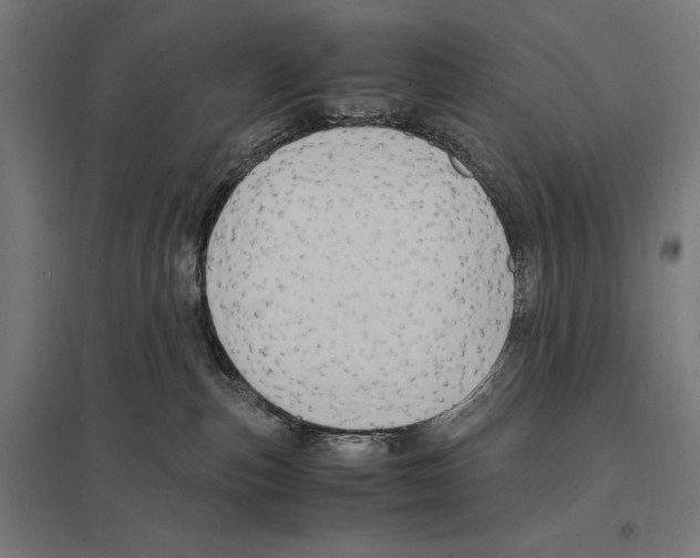 X0000097600187200803281000