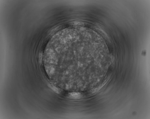 X0000097600189200803281000