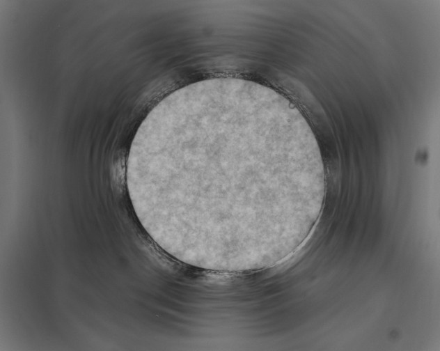 X0000097600190200803281000