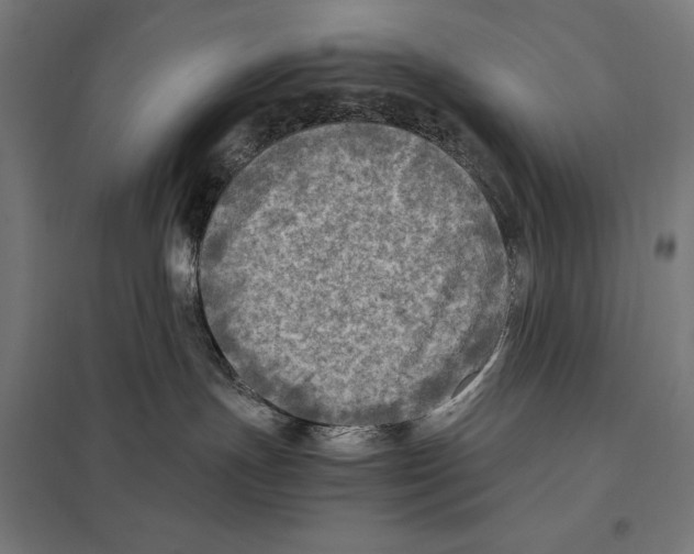 X0000097600191200803281000