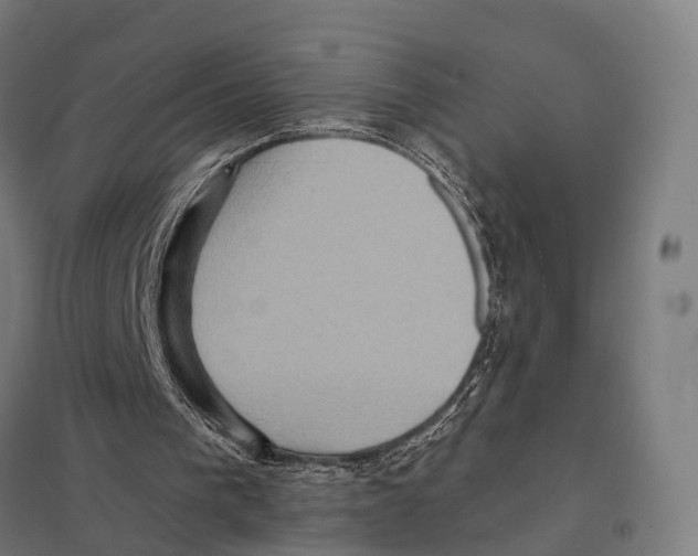 X0000097600193200803280959