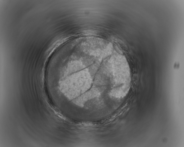 X0000097600194200803280959