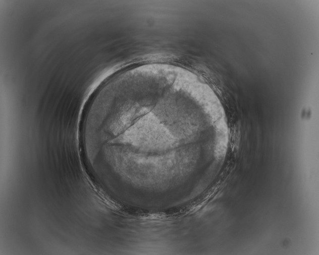 X0000097600196200803280959