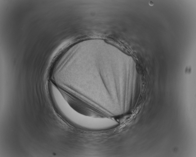 X0000097600197200803280959