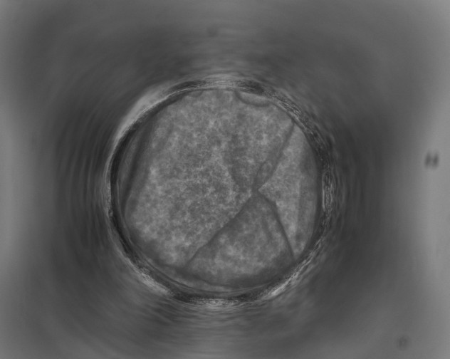 X0000097600198200803280959