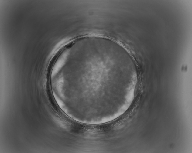 X0000097600199200803280959