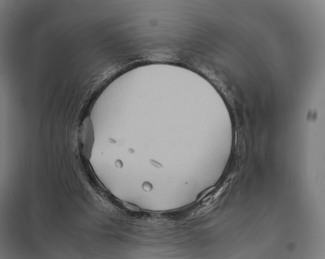 X0000097600201200803280959