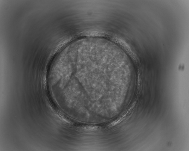 X0000097600202200803280959