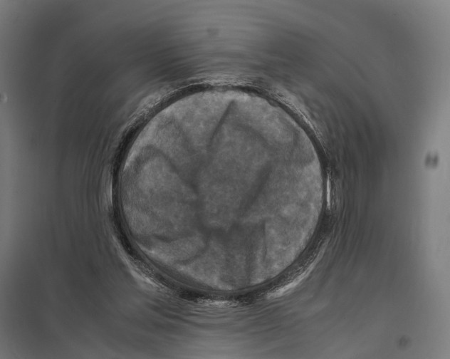 X0000097600205200803280959