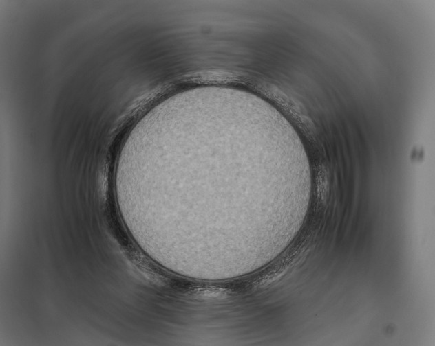 X0000097600206200803280959