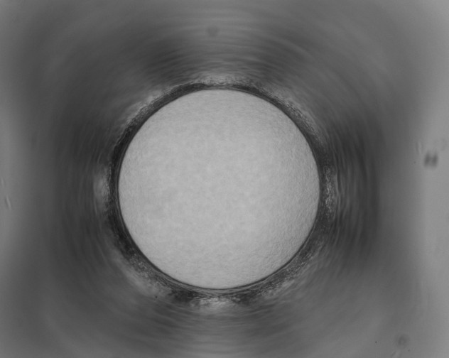 X0000097600208200803280959