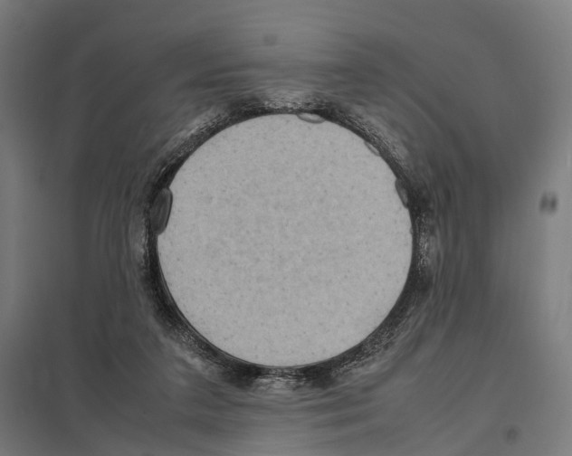 X0000097600211200803280959