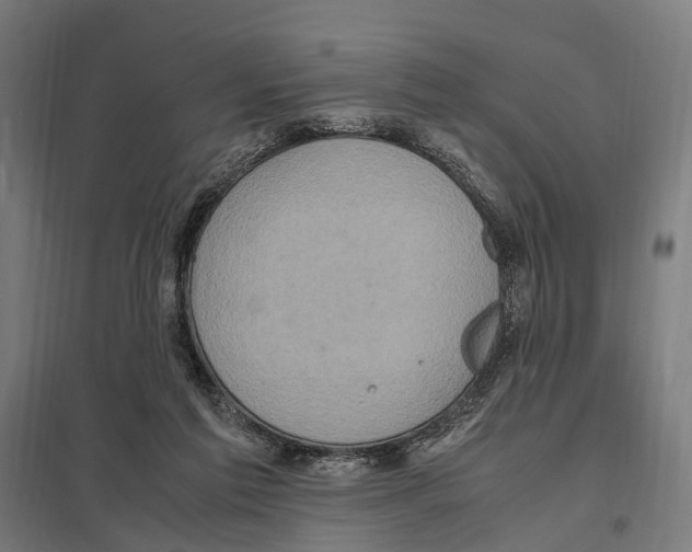 X0000097600213200803280959