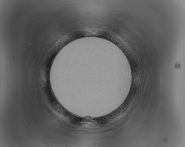 X0000097600215200803280959