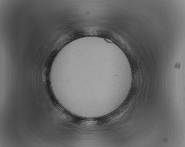 X0000097600217200803280959